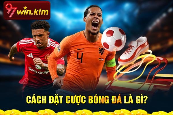 Cách đặt cược bóng đá là gì? Cách đặt cược bóng đá là gì?